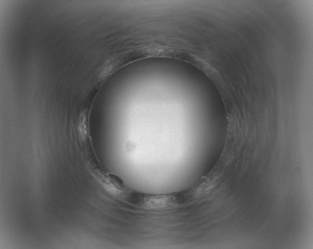 X0000061720479200512161600