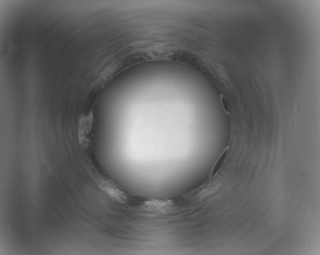 X0000061720480200512161600