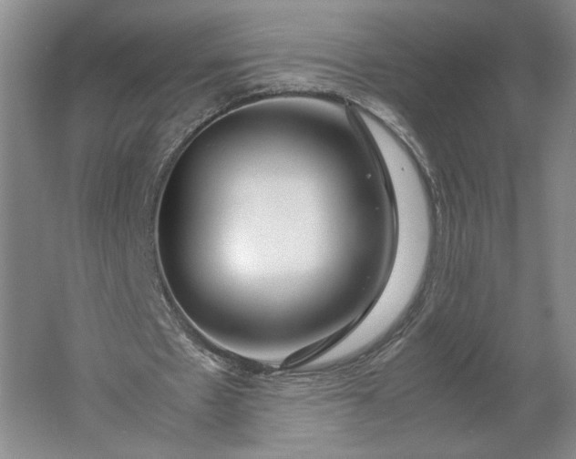 X0000061720481200512161559