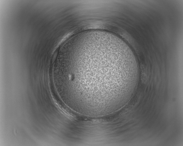 X0000061720482200512161559