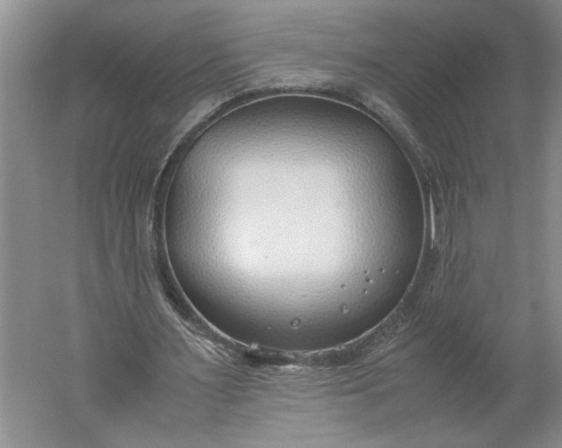 X0000061720483200512161559