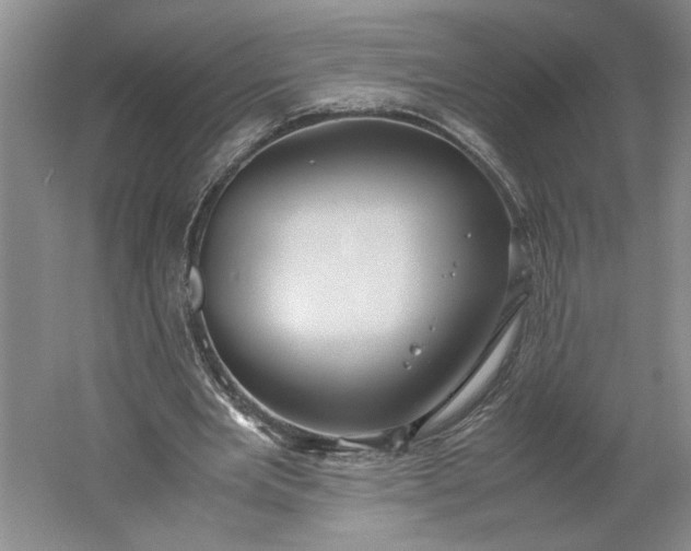 X0000061720485200512161559