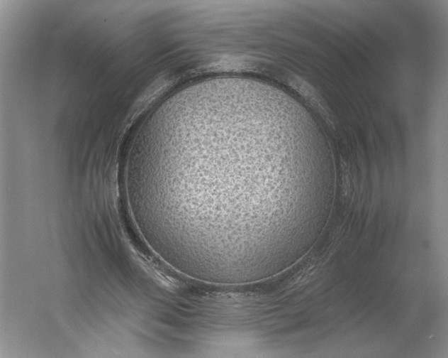 X0000061720486200512161559