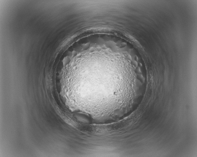 X0000061720487200512161559