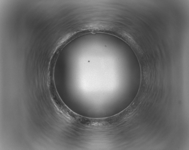 X0000061720488200512161559