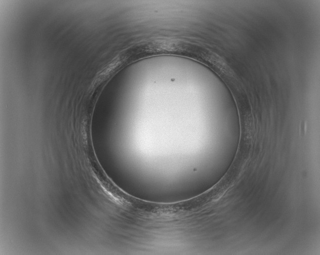 X0000061720489200512161559