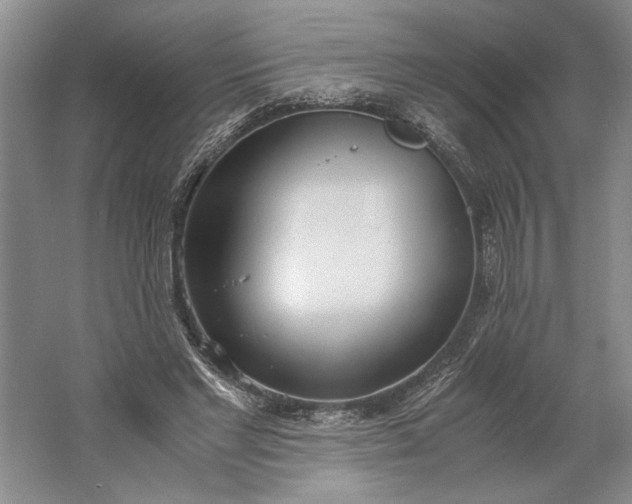 X0000061720493200512161559