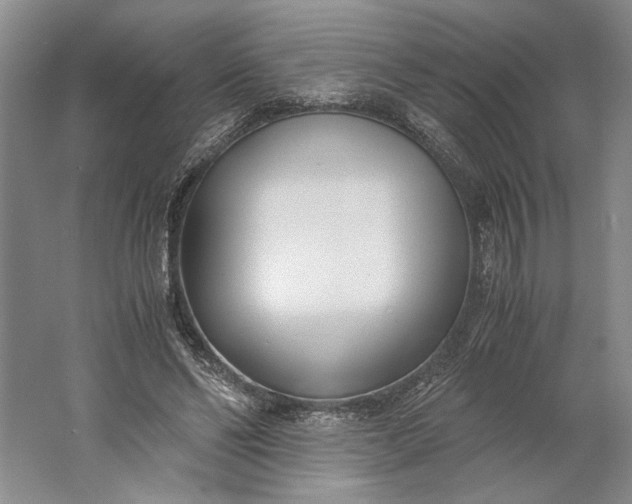 X0000061720494200512161559