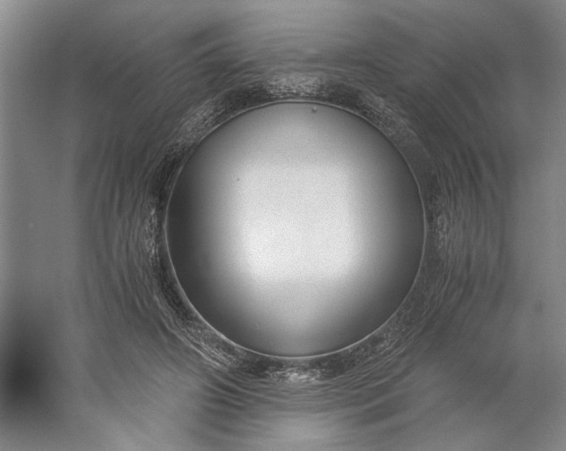 X0000061720498200512161559