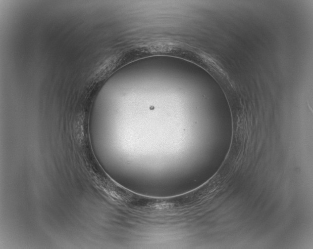 X0000061720501200512161559