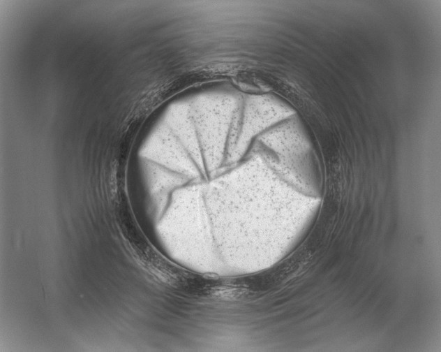 X0000061720504200512161559