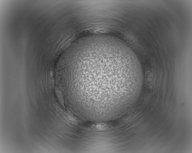 X0000061720506200512161559