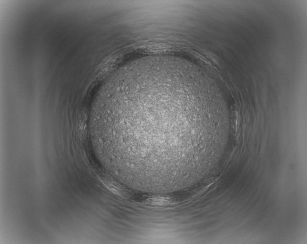 X0000061720507200512161559