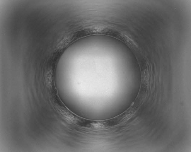 X0000061720509200512161559