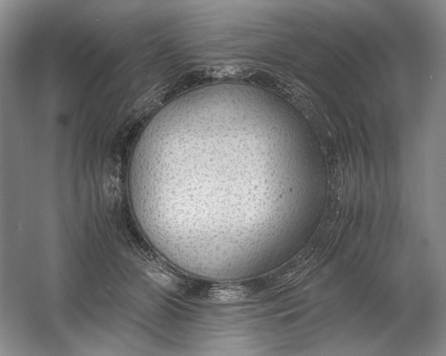 X0000061720510200512161559