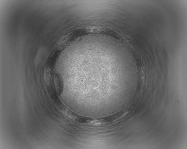 X0000061720511200512161559