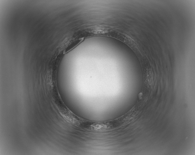 X0000061720512200512161559