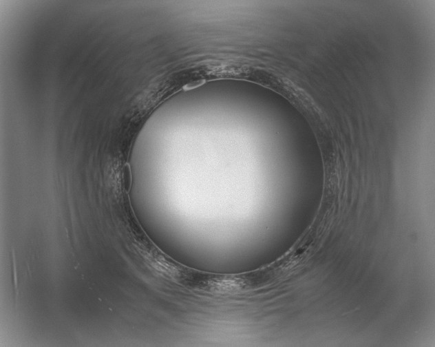 X0000061720513200512161559