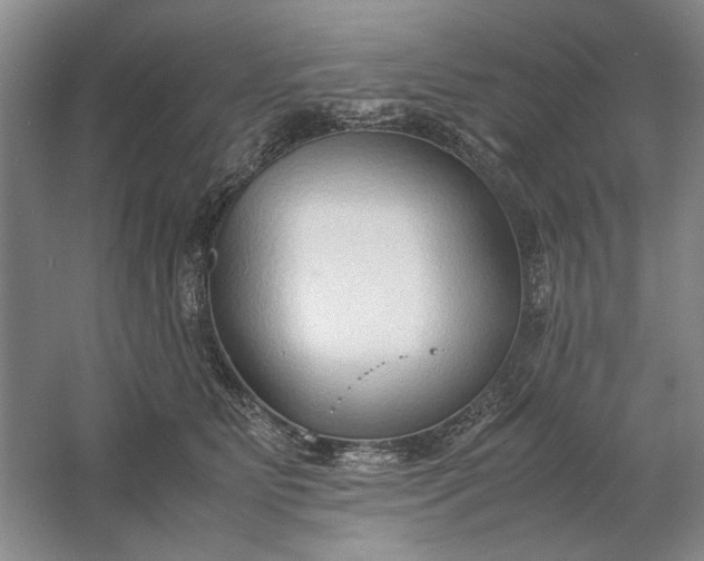 X0000061720515200512161559