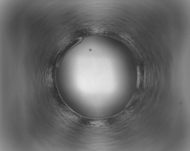 X0000061720516200512161559