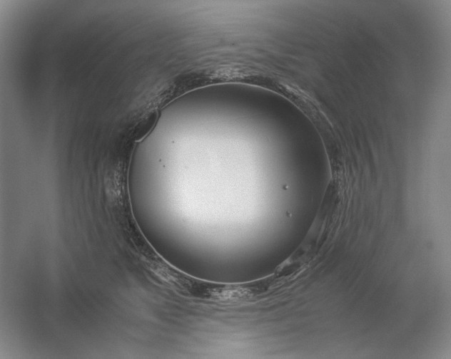 X0000061720517200512161558