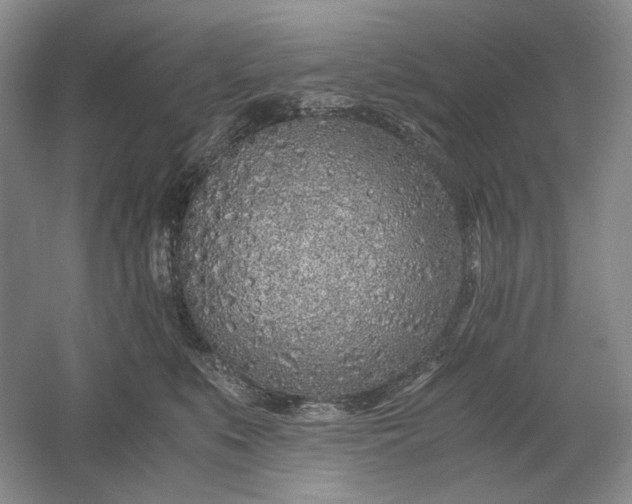 X0000061720519200512161558