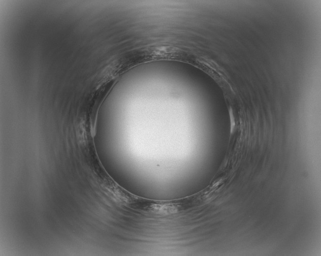 X0000061720520200512161558