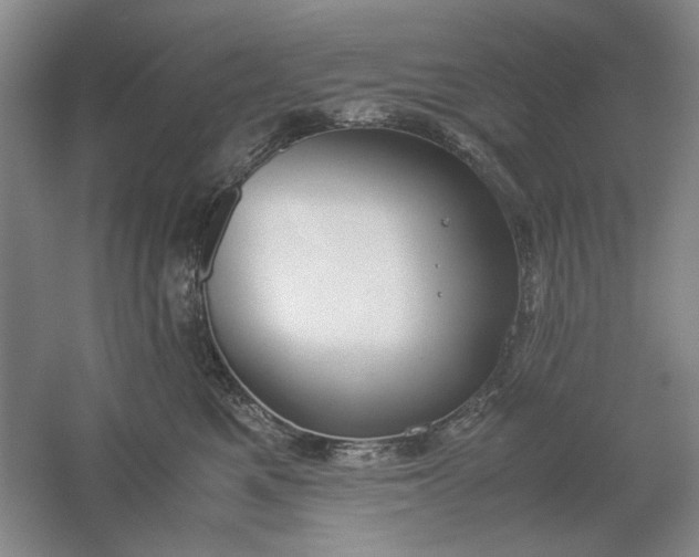 X0000061720521200512161558