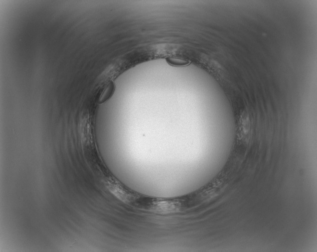 X0000061720522200512161558