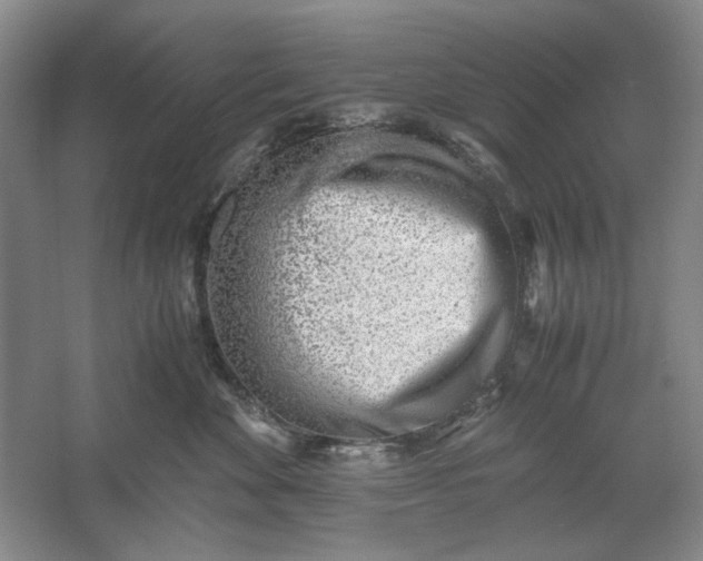 X0000061720524200512161558