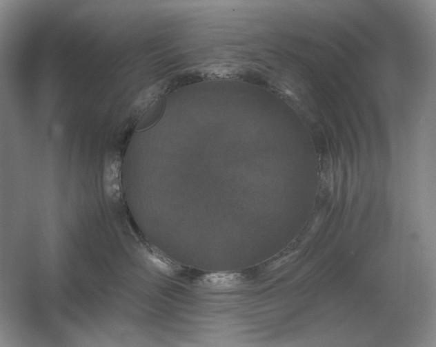 X0000061720526200512161558