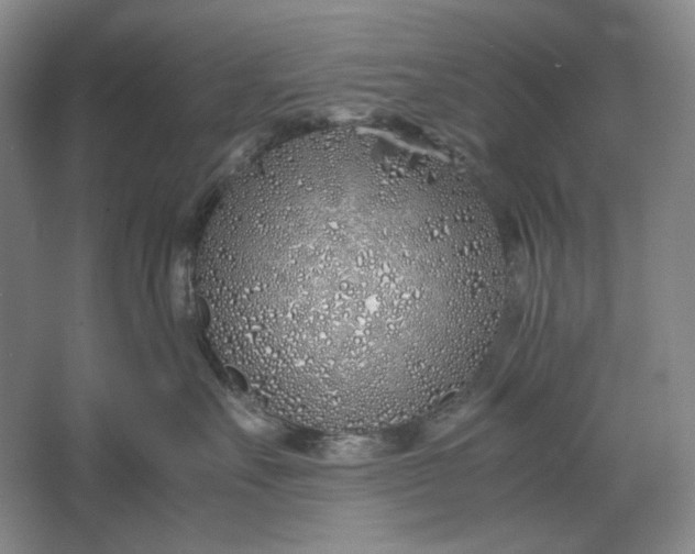 X0000061720527200512161558