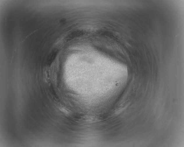 X0000061720528200512161558