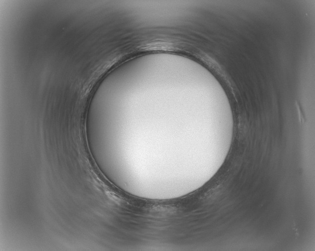 X0000061720529200512161557