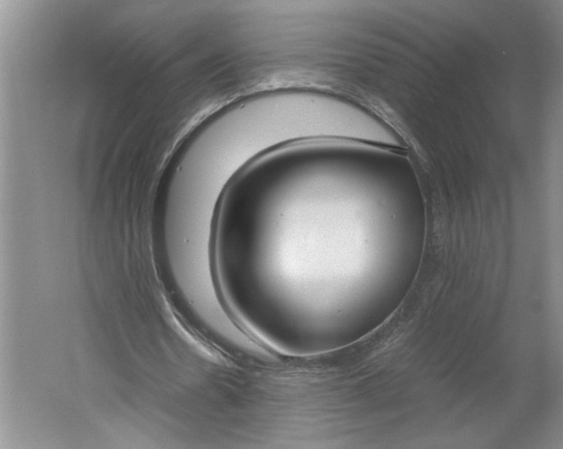 X0000061720530200512161557