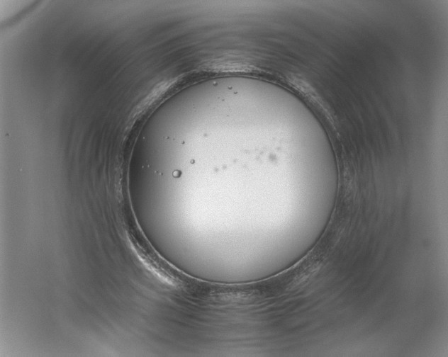 X0000061720533200512161558