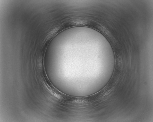 X0000061720537200512161558