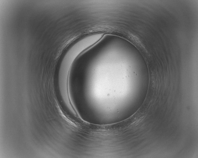 X0000061720538200512161558