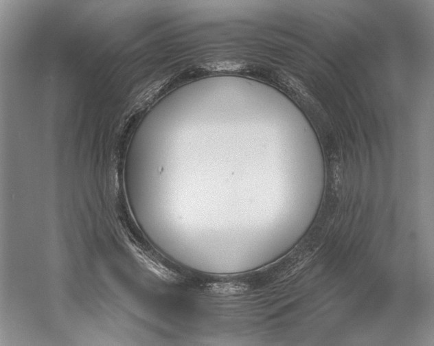 X0000061720541200512161558