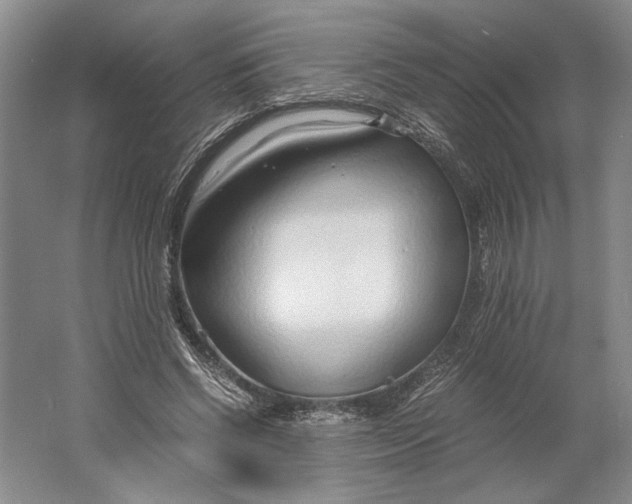 X0000061720542200512161558