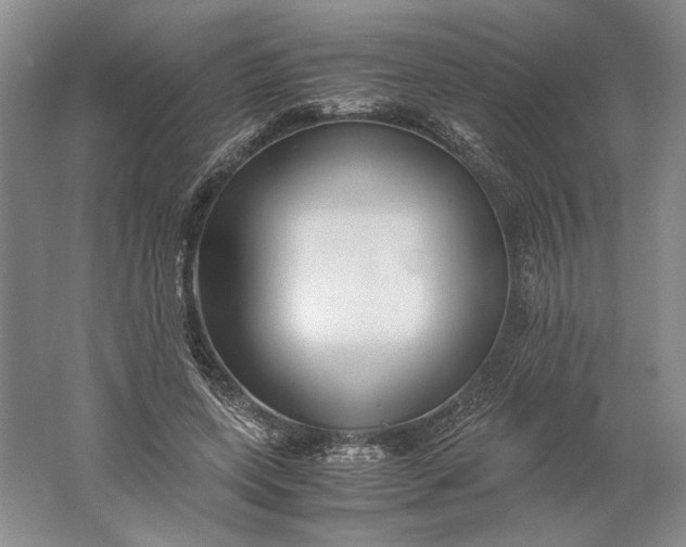 X0000061720543200512161558