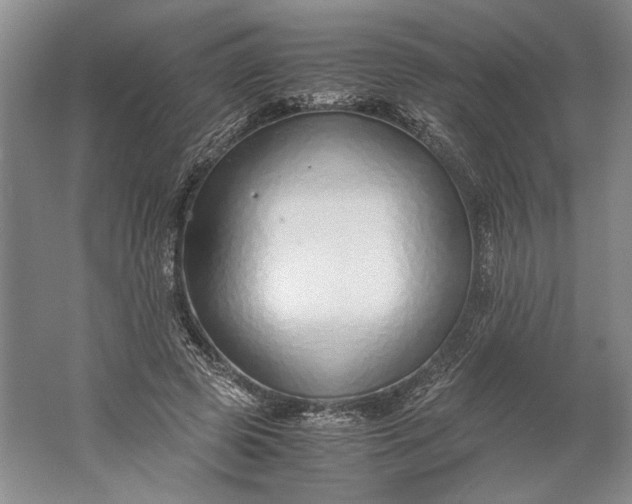 X0000061720545200512161558