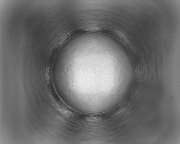 X0000061720549200512161558