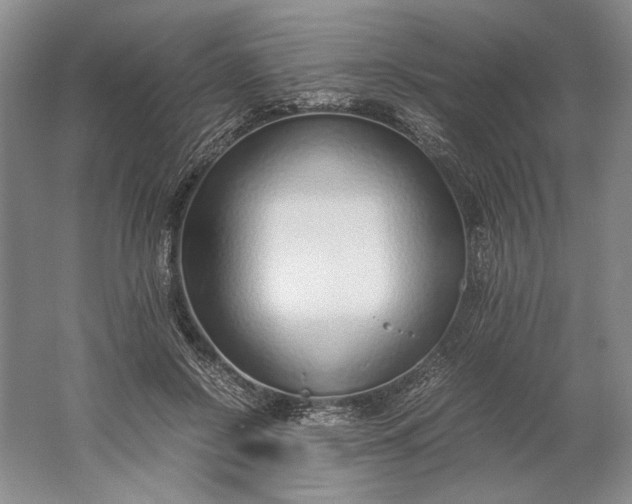 X0000061720550200512161558