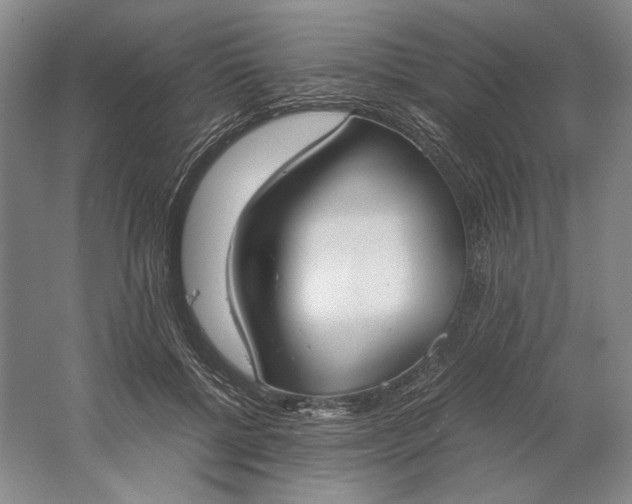 X0000061720552200512161558