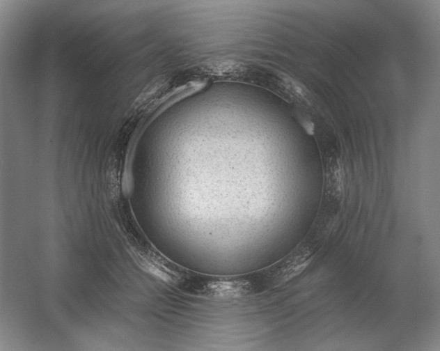 X0000061720558200512161558