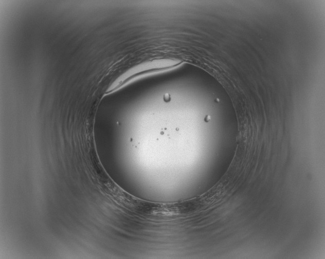 X0000061720559200512161558