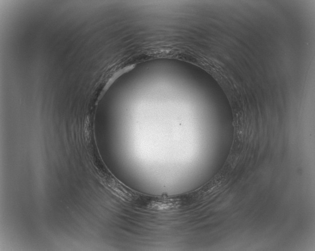 X0000061720563200512161558