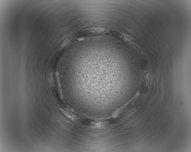 X0000061720564200512161558