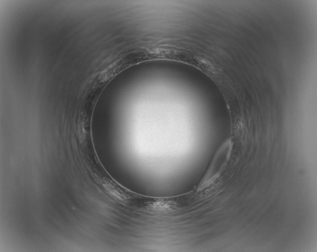 X0000061720566200512161558